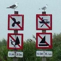 Boating restrictions.jpg