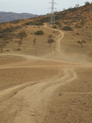 Tracks.png